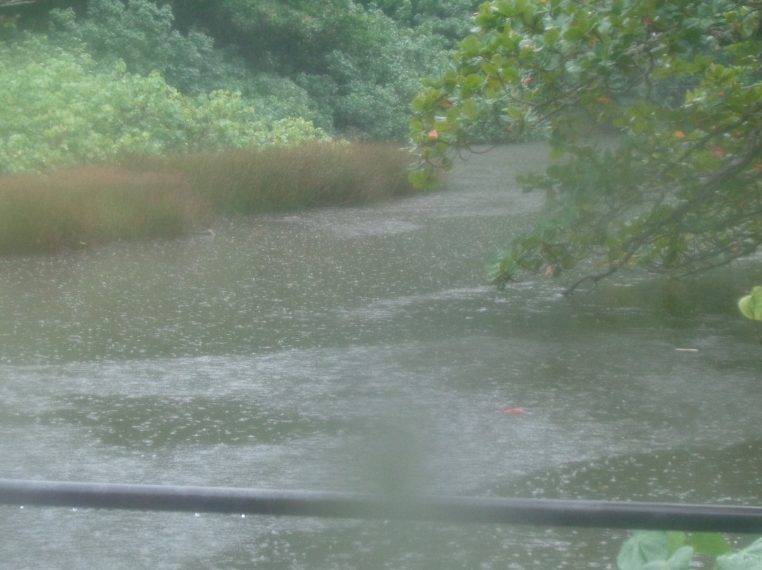 Yatsuse River-小笠原村必去景点