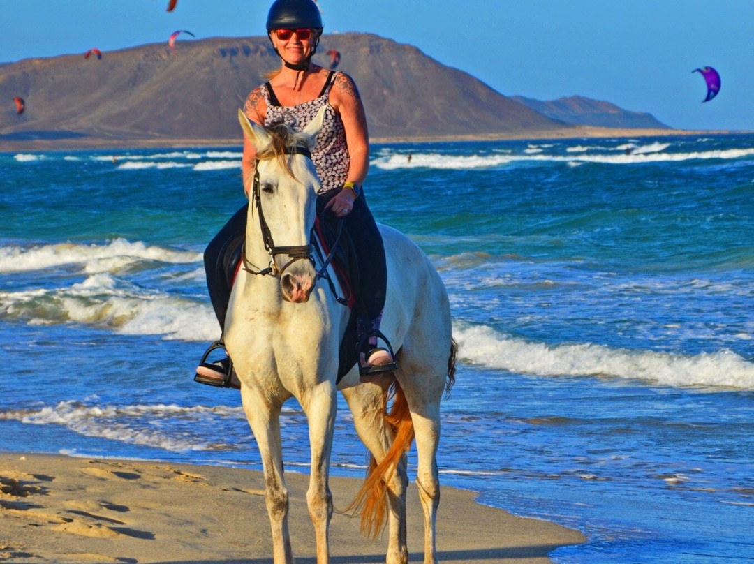Santa Marilha Horse Excursions景点图片
