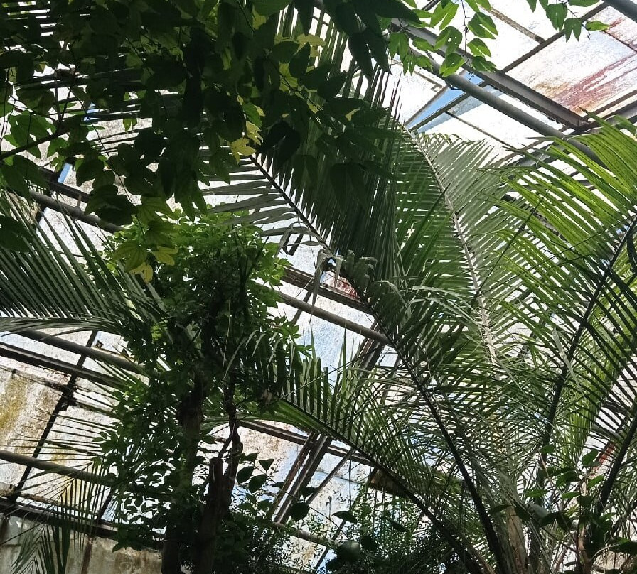 Botanic Garden Anastasie Fătu (Grădina Botanică Anastasie Fătu)景点图片