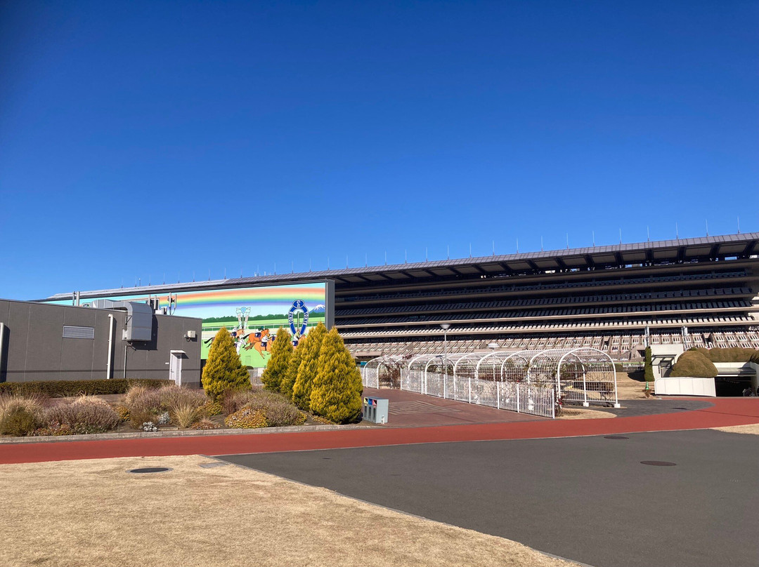 Tokyo Racecourse-府中市必去景点
