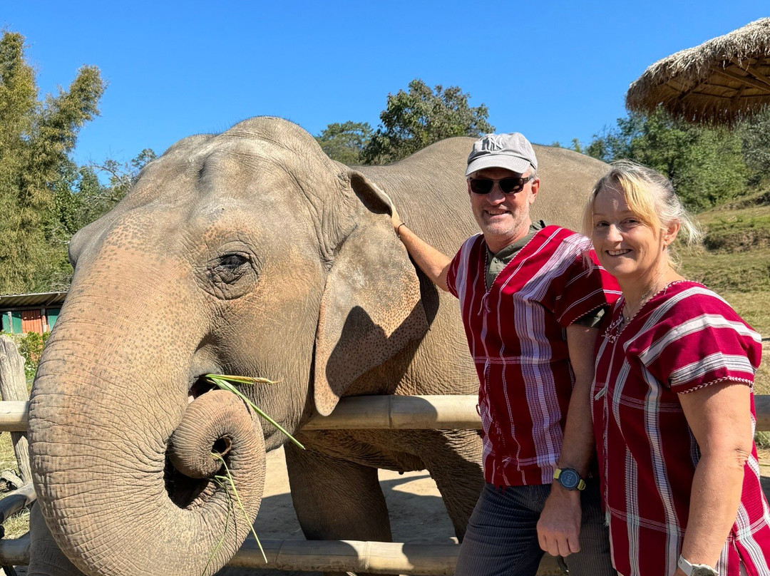 Elephant Pride Sanctuary-清迈必去景点