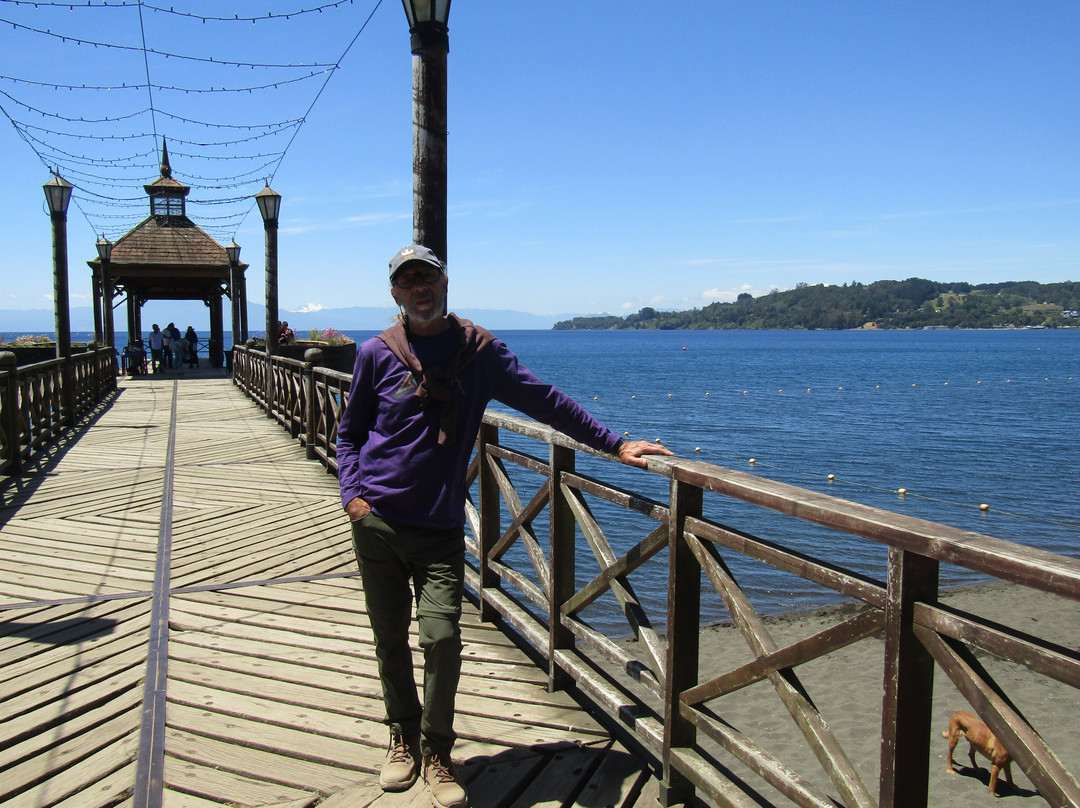 Muelle Frutillar-Frutillar必去景点