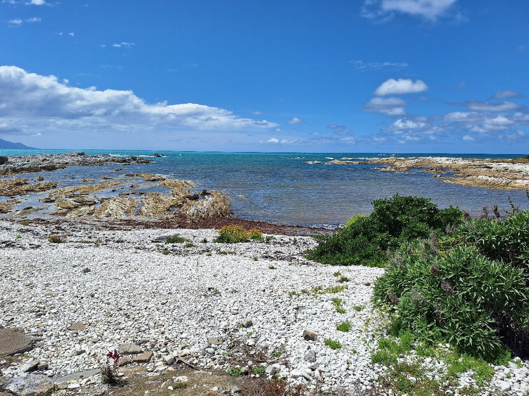 Kaikoura Llama Trekking-Kaikoura必去景点