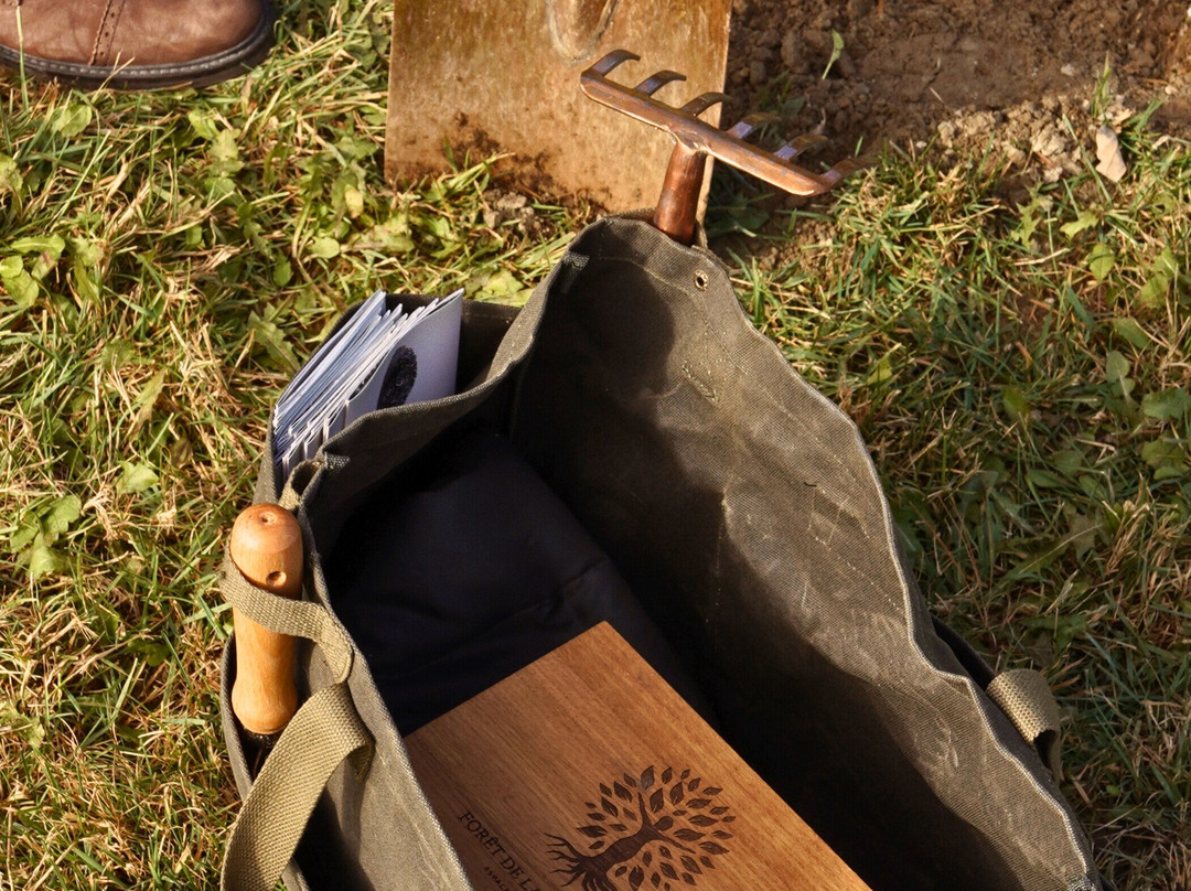 Forêt de la Seconde Vie