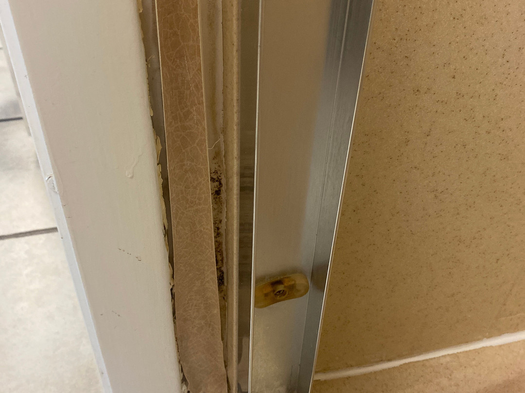 阿尔图斯希尔顿恒庭旅馆&套房酒店主图