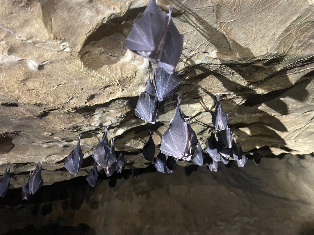 Lurgrotte Peggau-格拉茨城必去景点