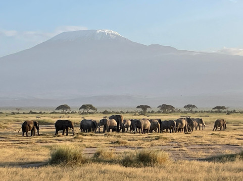 Kenya & Tanzania Safari-Usa River必去景点