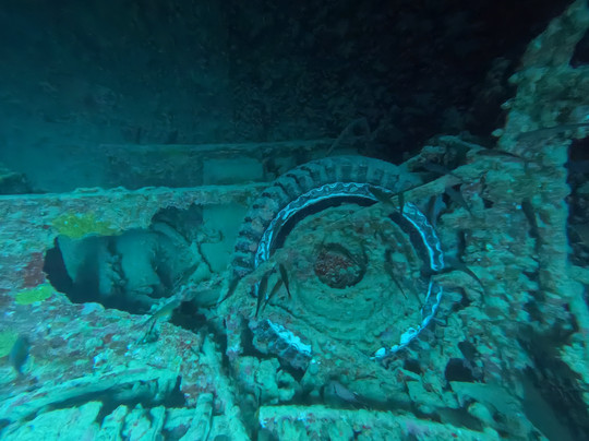 Blue Sea Dive Club-沙姆沙伊赫必去景点