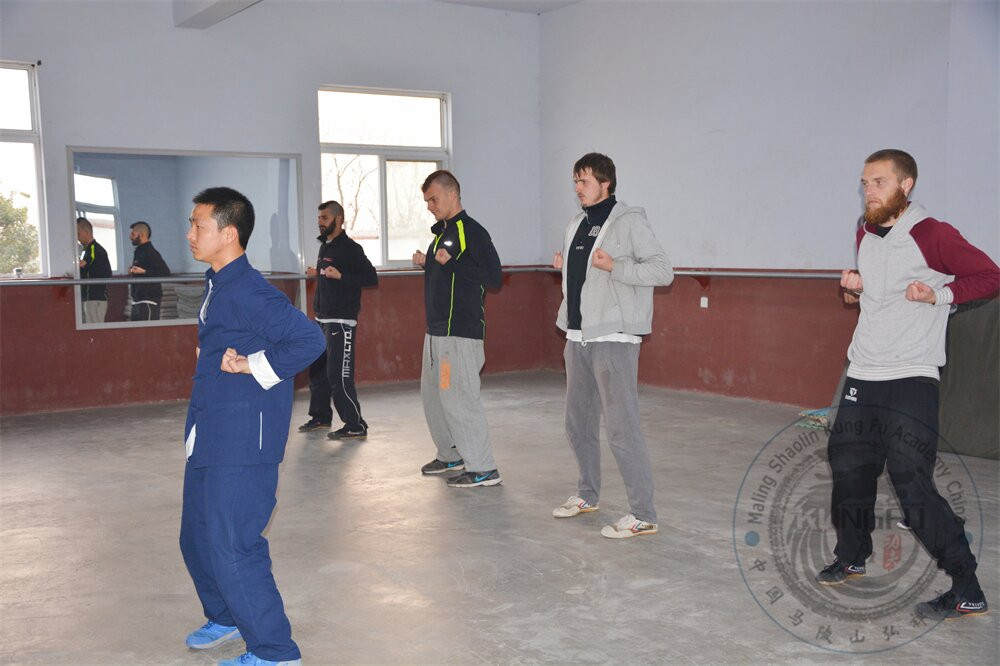 Maling Shaolin Kung Fu Academy景点图片