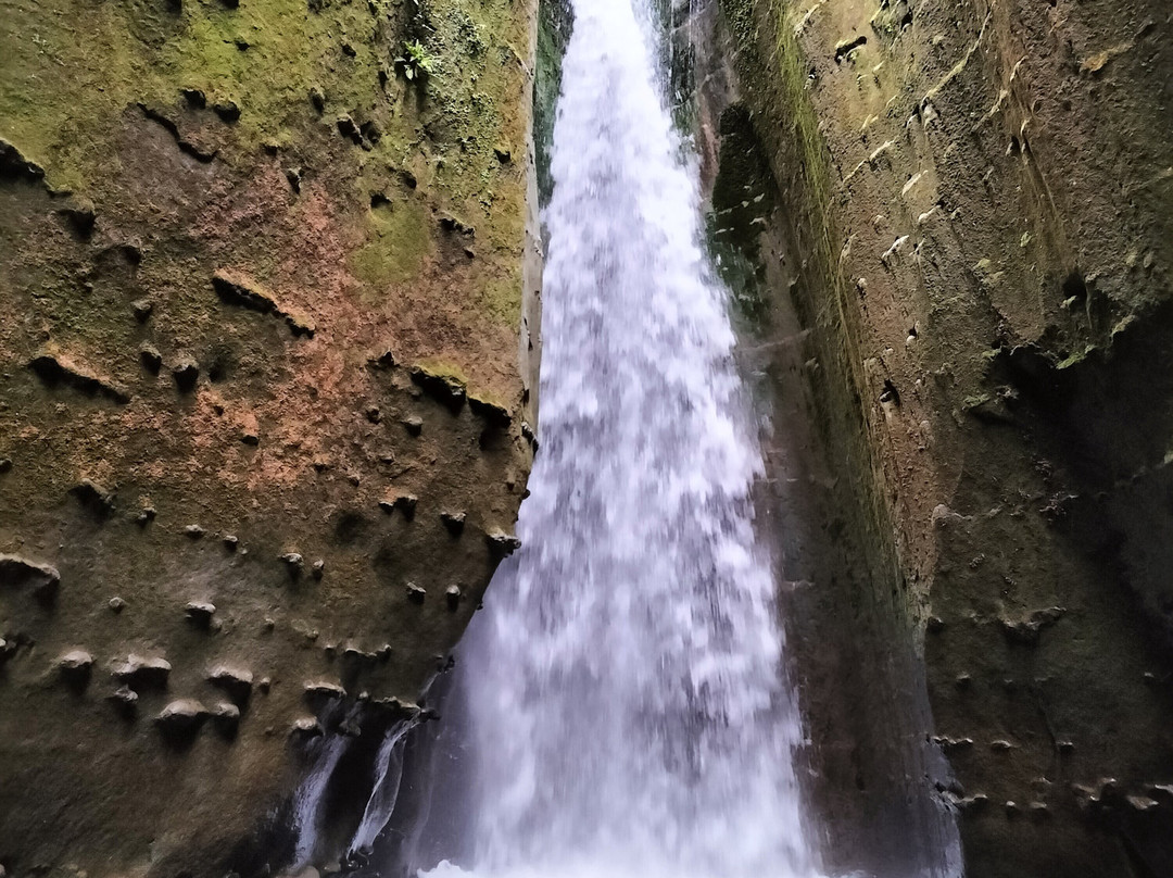 Tarata Fishaway主图