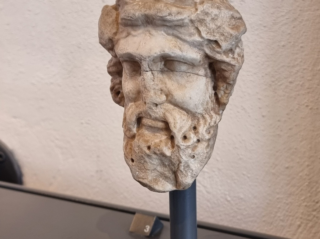 Civic Museum (Museo Civico di Padova)-帕多瓦必去景点