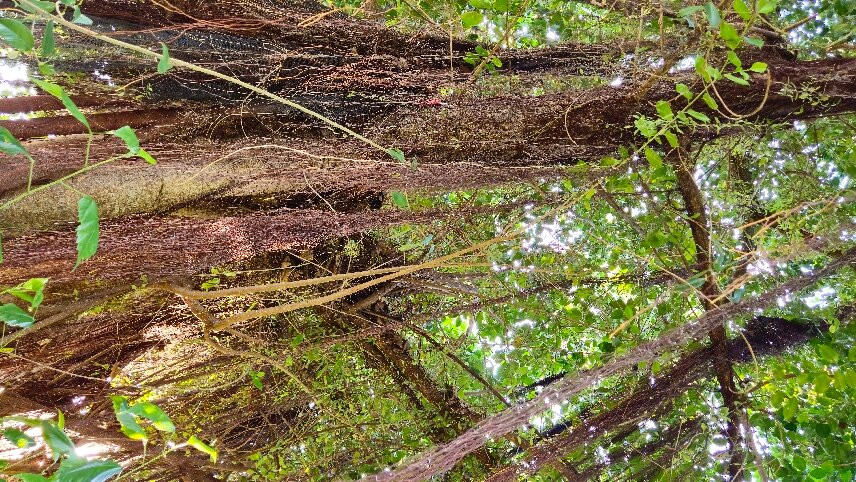 北极星海滩潜水度假酒店主图