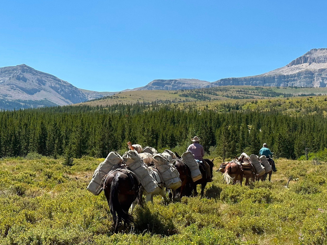Dropstone Outfitting-Choteau必去景点