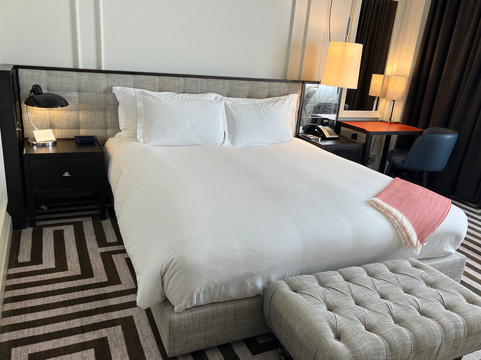 伦敦瑰丽酒店主图