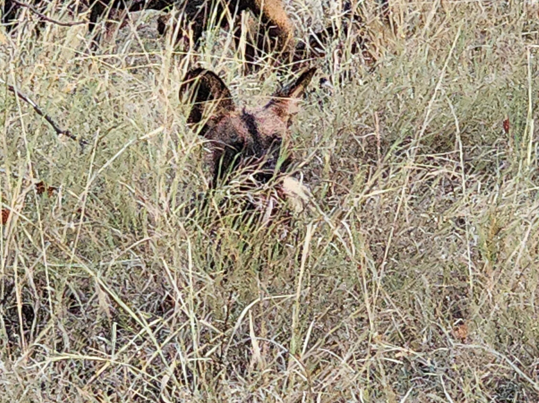 African Travel Consultants-Sabie Park必去景点