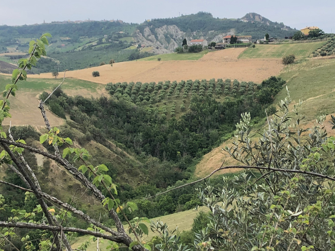 Riserva Naturale dei Calanchi-Atri必去景点