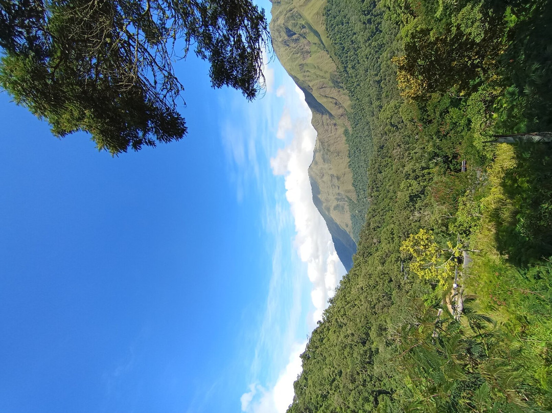 Taman Wisata Pusuk Sembalun