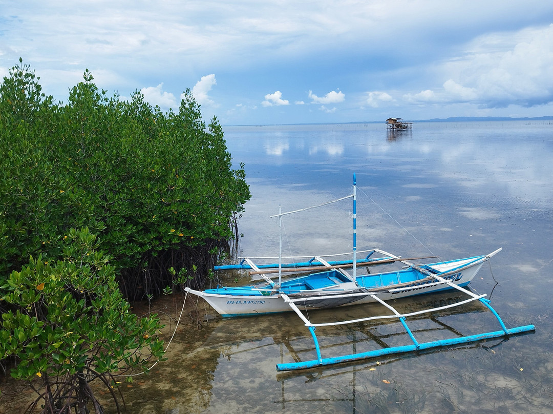 Omagieca Mangrove Garden-班塔延岛必去景点