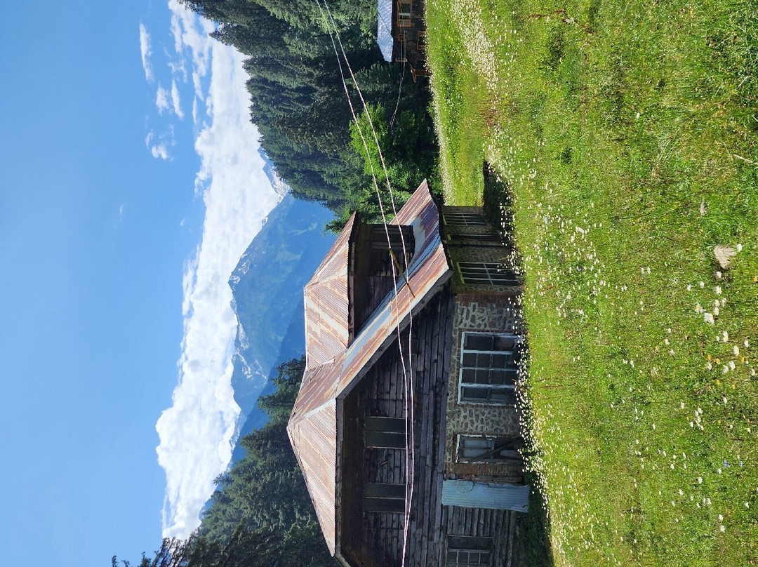 Travellers Inn主图