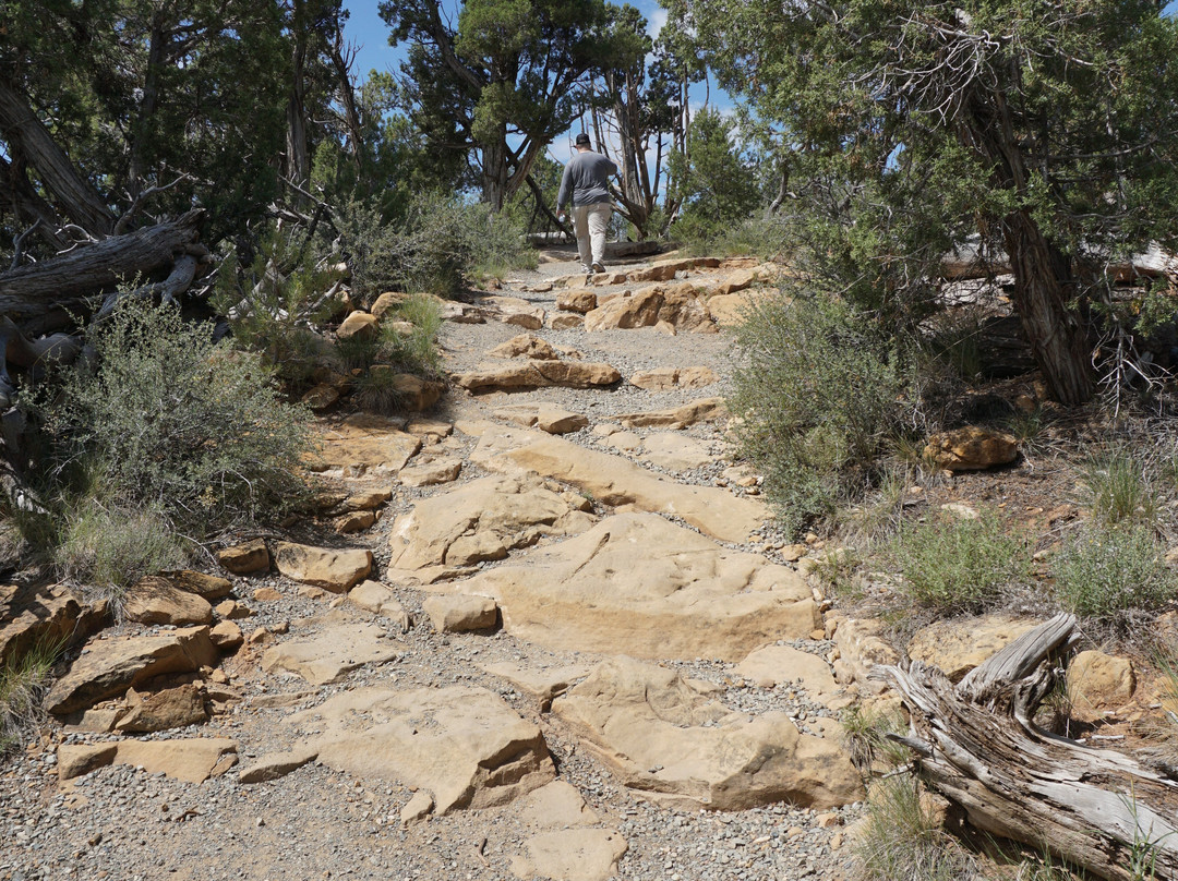 Soda Canyon Overlook Trail-梅萨维德国家公园必去景点