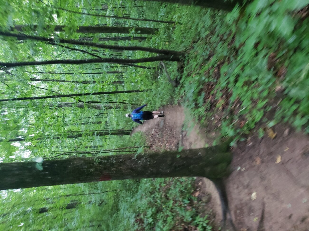 Walls of Jericho-Estillfork必去景点