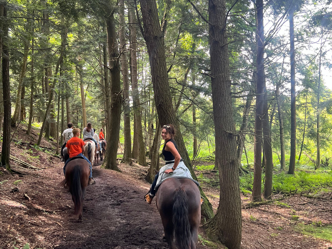 Stony Lake Stables-New Era必去景点