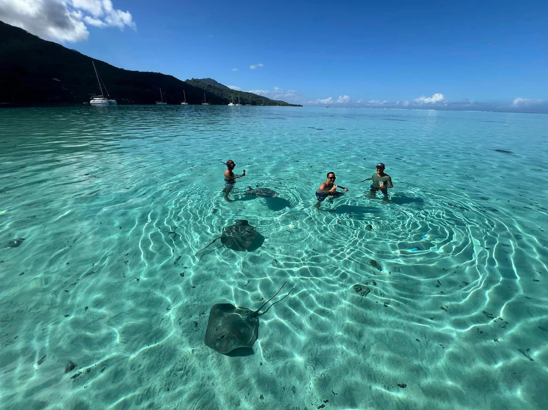 Moorea Reo Tours-哈皮迪必去景点