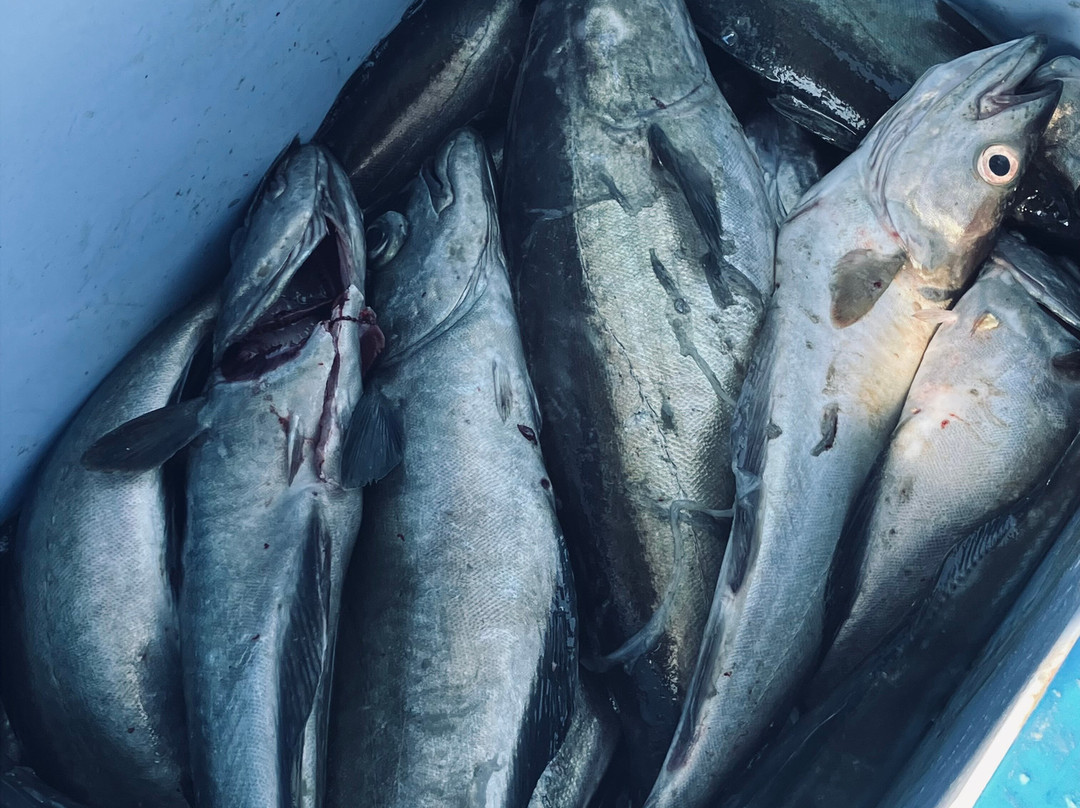 Cornish Fishing-法尔茅斯必去景点