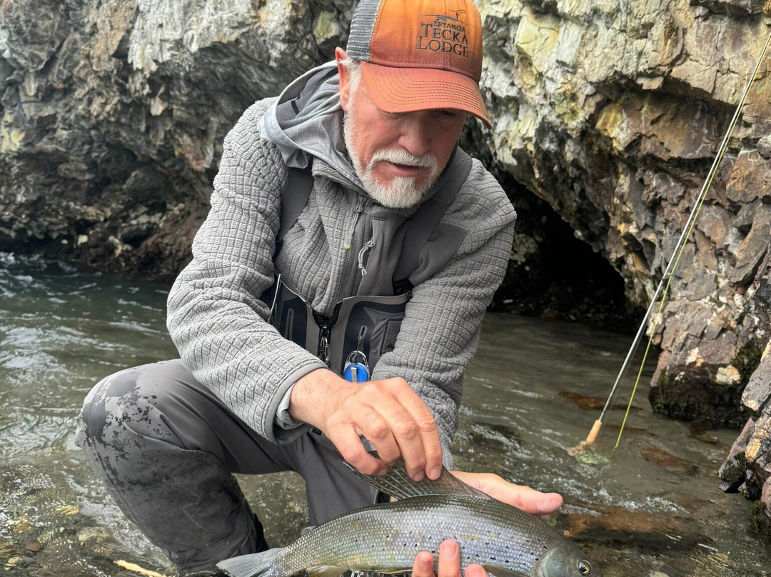 Denali Angler景点图片