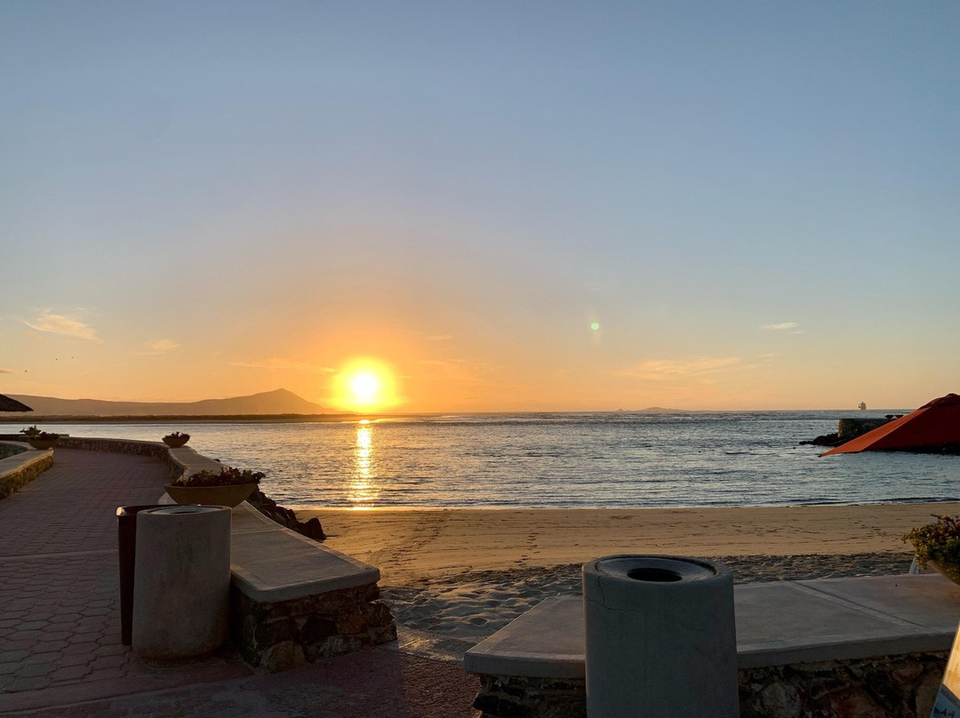 Estero Beach Hotel & Resort主图