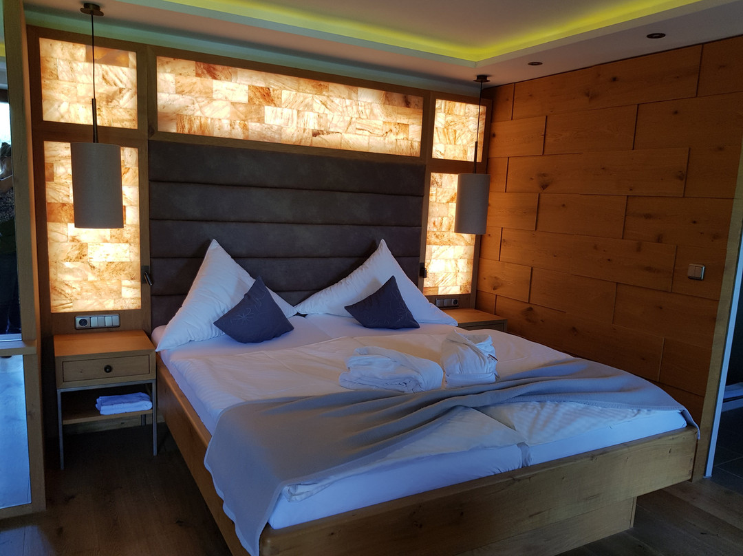 泽彻梅斯特勒赫阿尔潘酒店主图