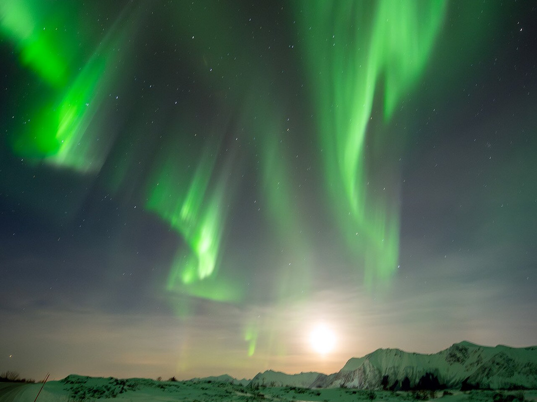 The Aurora Jager景点图片