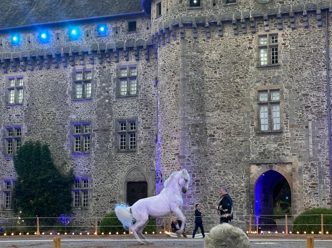 Château de Pompadour景点图片