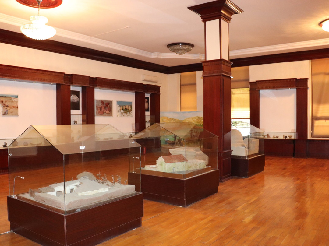 Mingəçevir Tarix Muzeyi