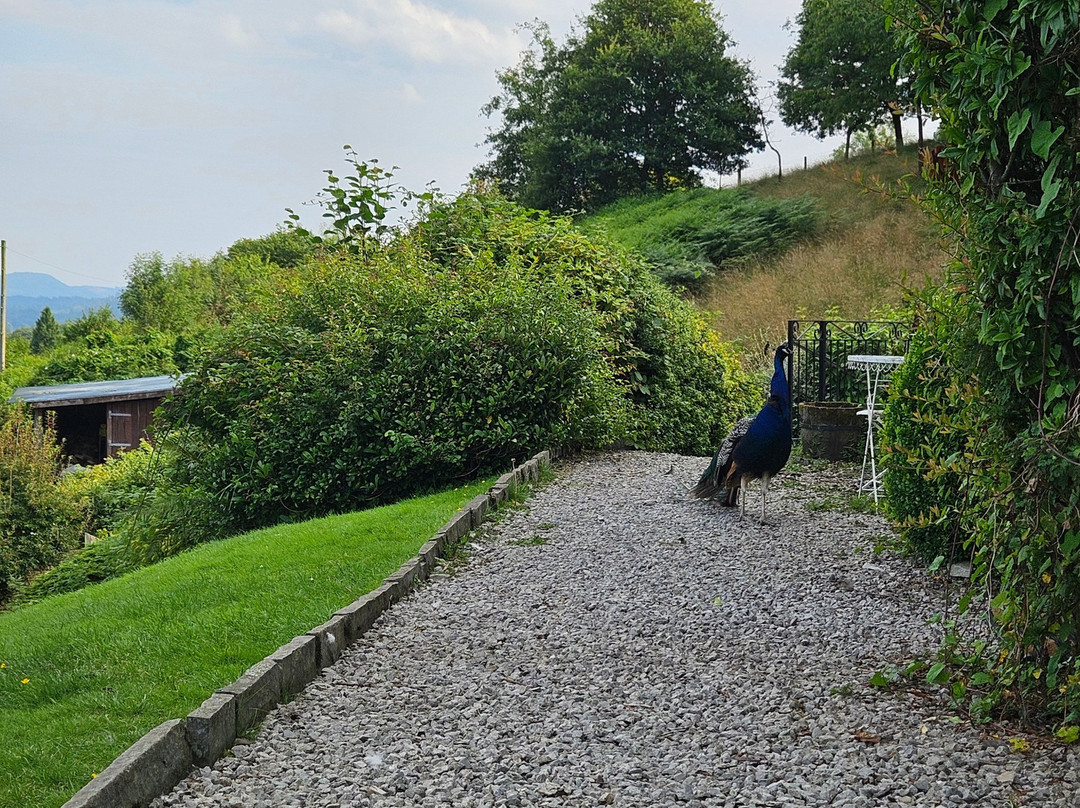 High Grassings Country House B&B主图