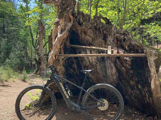 ThessbyBike-塞萨洛尼基必去景点