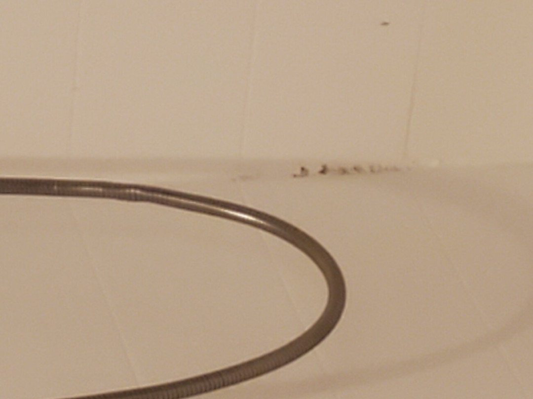 Holiday Inn Express & Suites Clinton By IHG主图