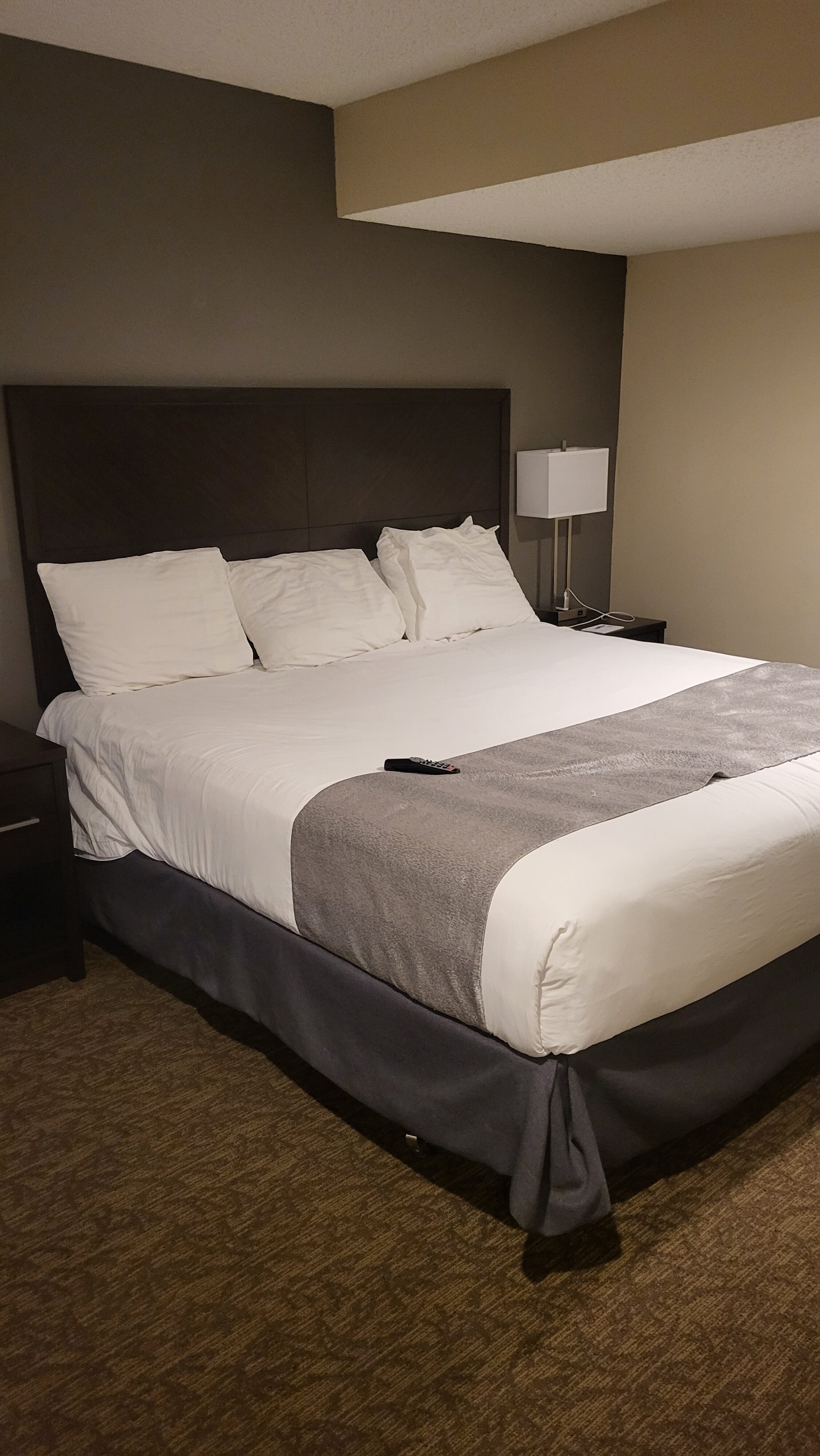 Chase Suite Hotel El Paso-客卧