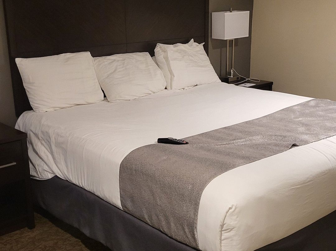 Chase Suite Hotel El Paso主图