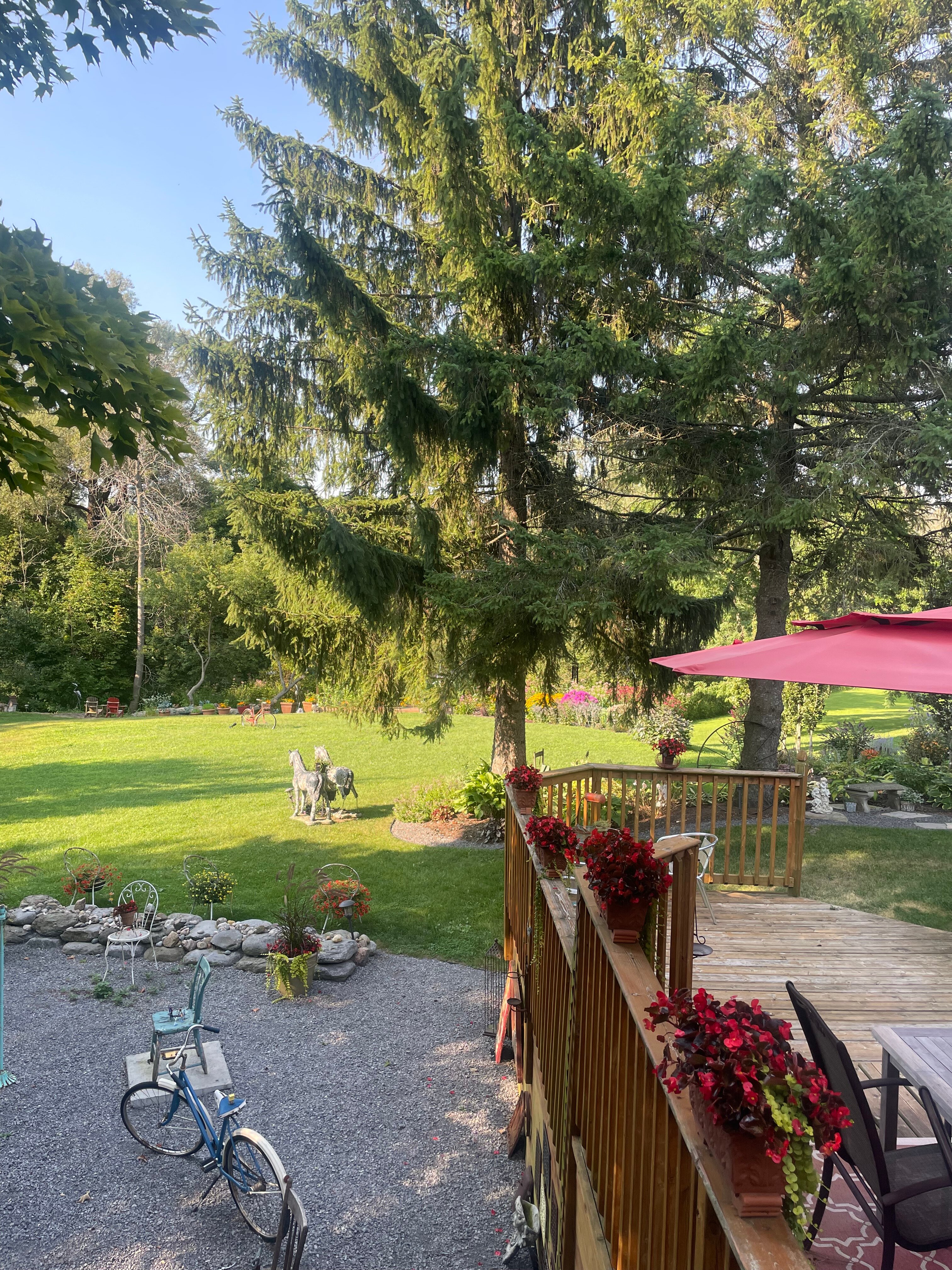 Runaway Rooster-浴室