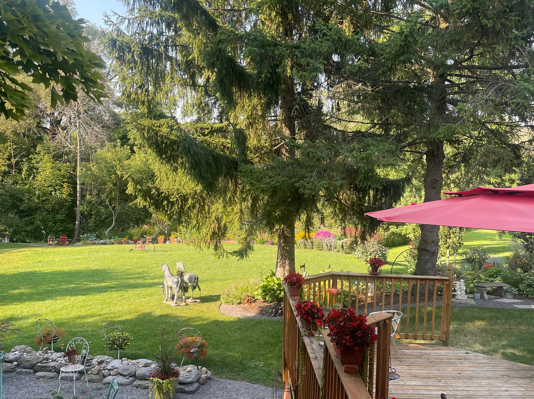 Runaway Rooster主图