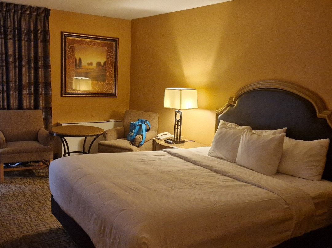 Golden Nugget Laughlin主图