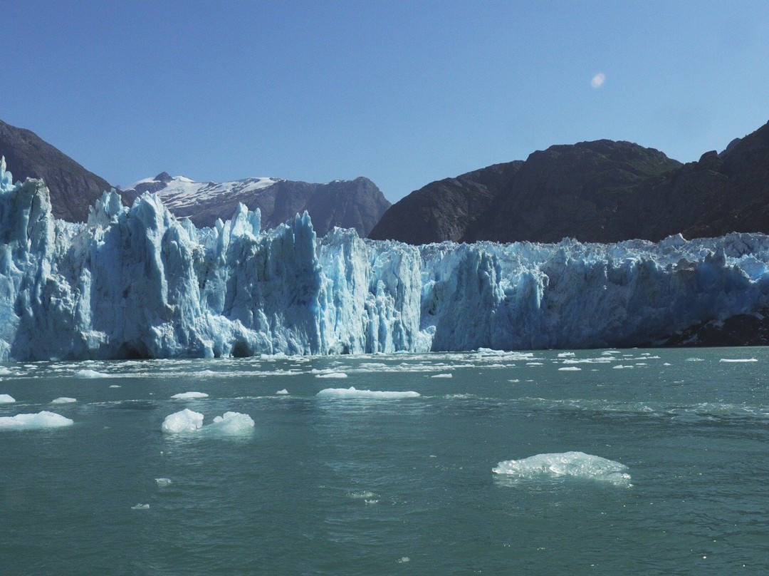 Seek Alaska Tours景点图片