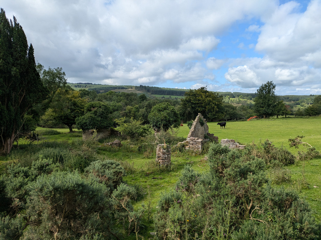 Slieve Bloom Mountains-Kinnitty必去景点