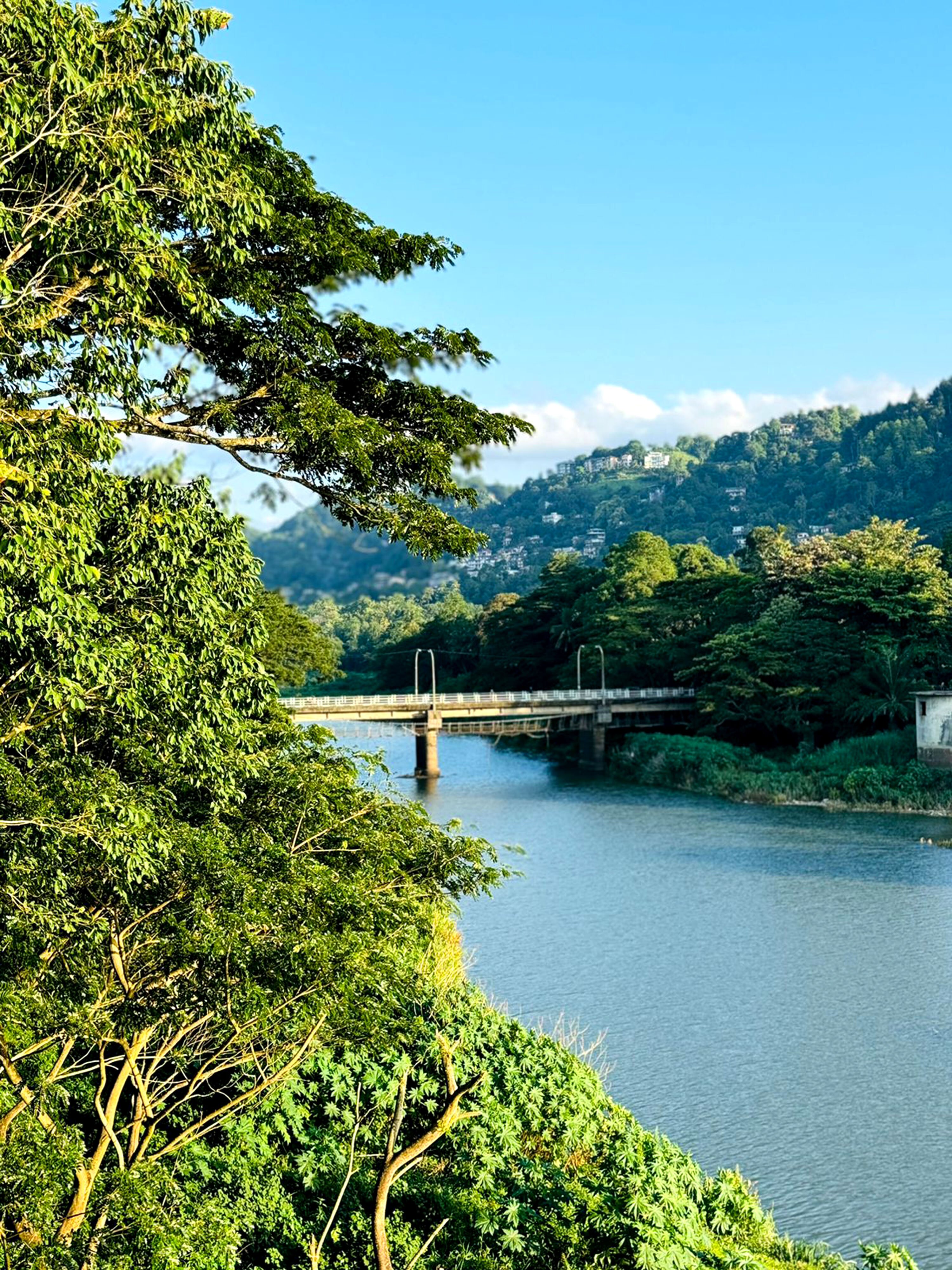 康提里沃瑞奇公寓-酒店景观