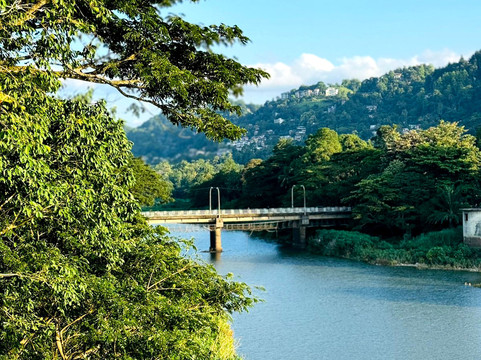 康提里沃瑞奇公寓主图