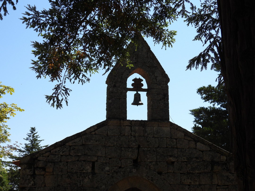 Douro Autêntico景点图片