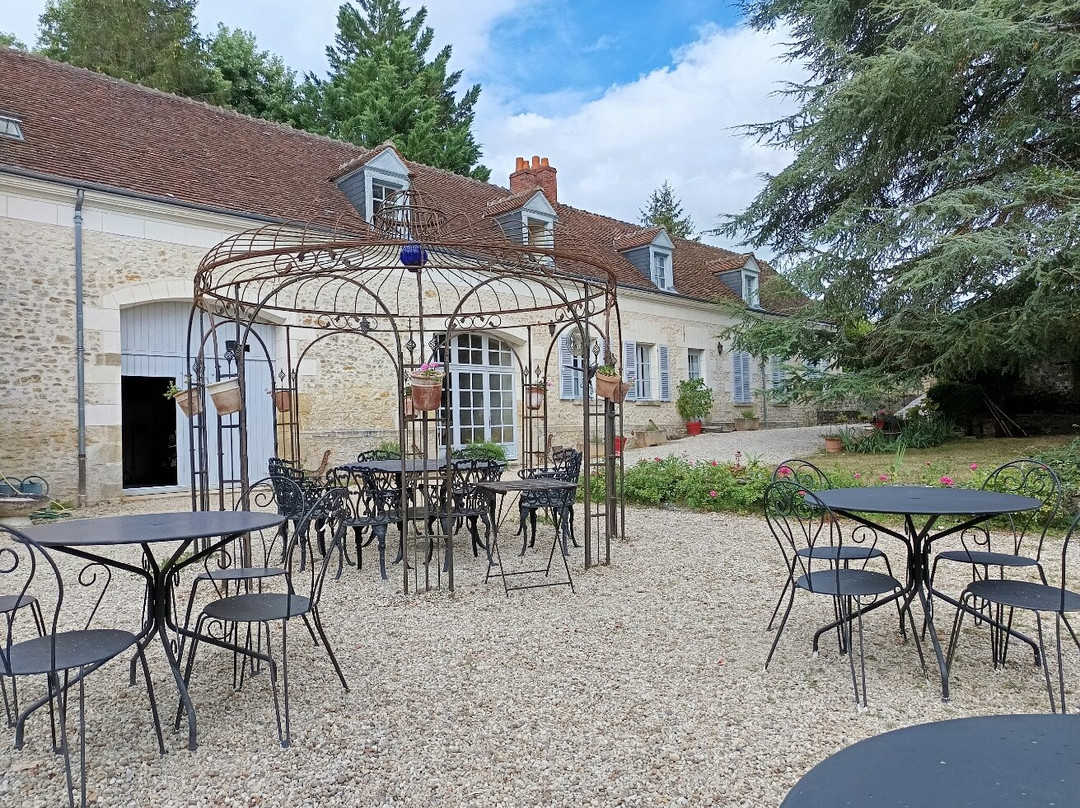 Bella Simonetta主图