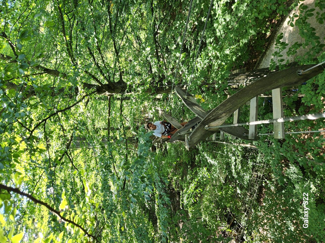 Parc Aventura Brasov-布拉索夫必去景点