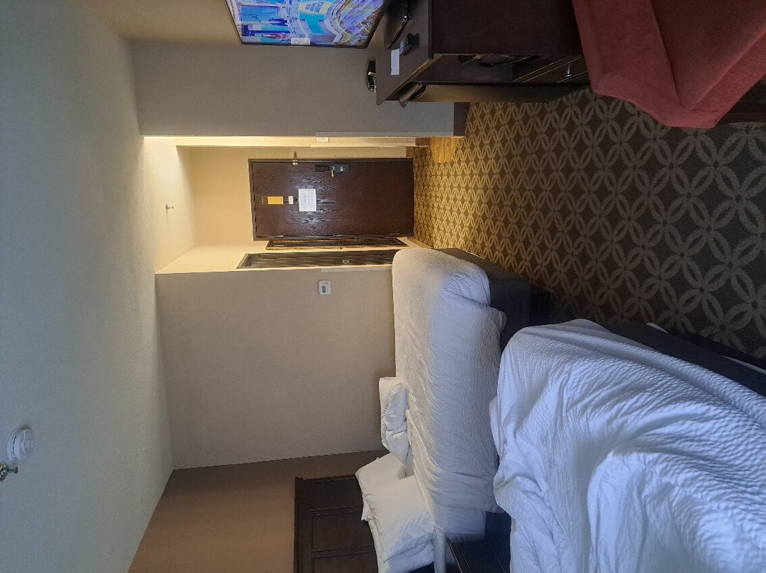 肖洛智选假日酒店主图